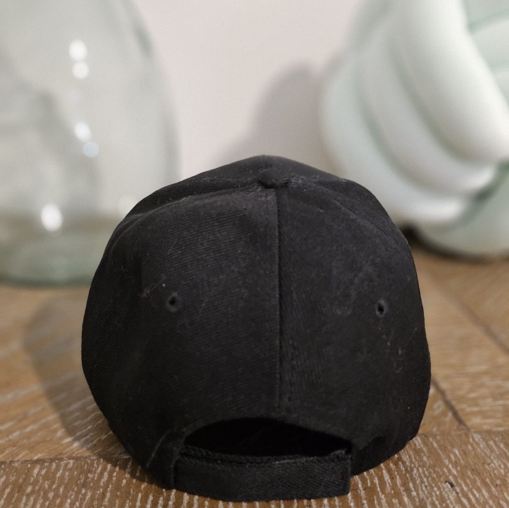 Novelty Baseball Hat - Picture 4 of 4